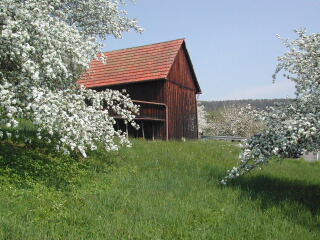 Rohrbronn 1